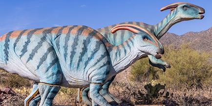 Photo of a Parasaurolophus replica