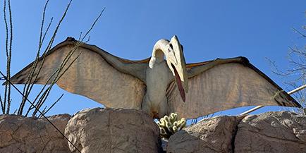 Photo of a Pterosaur replica