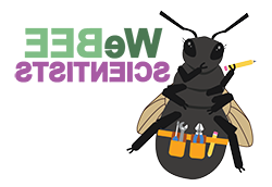 Bee Graphic